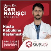 CEM NAKIŞCI 